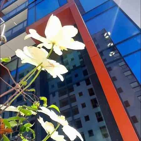 公寓 K&m Towarowa Tower *